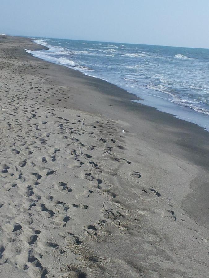 Ccc Holiday Properties Le Vele Ccc Монталто ди Кастро Екстериор снимка