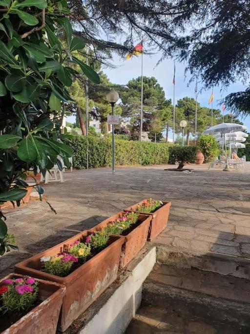 Ccc Holiday Properties Le Vele Ccc Монталто ди Кастро Екстериор снимка
